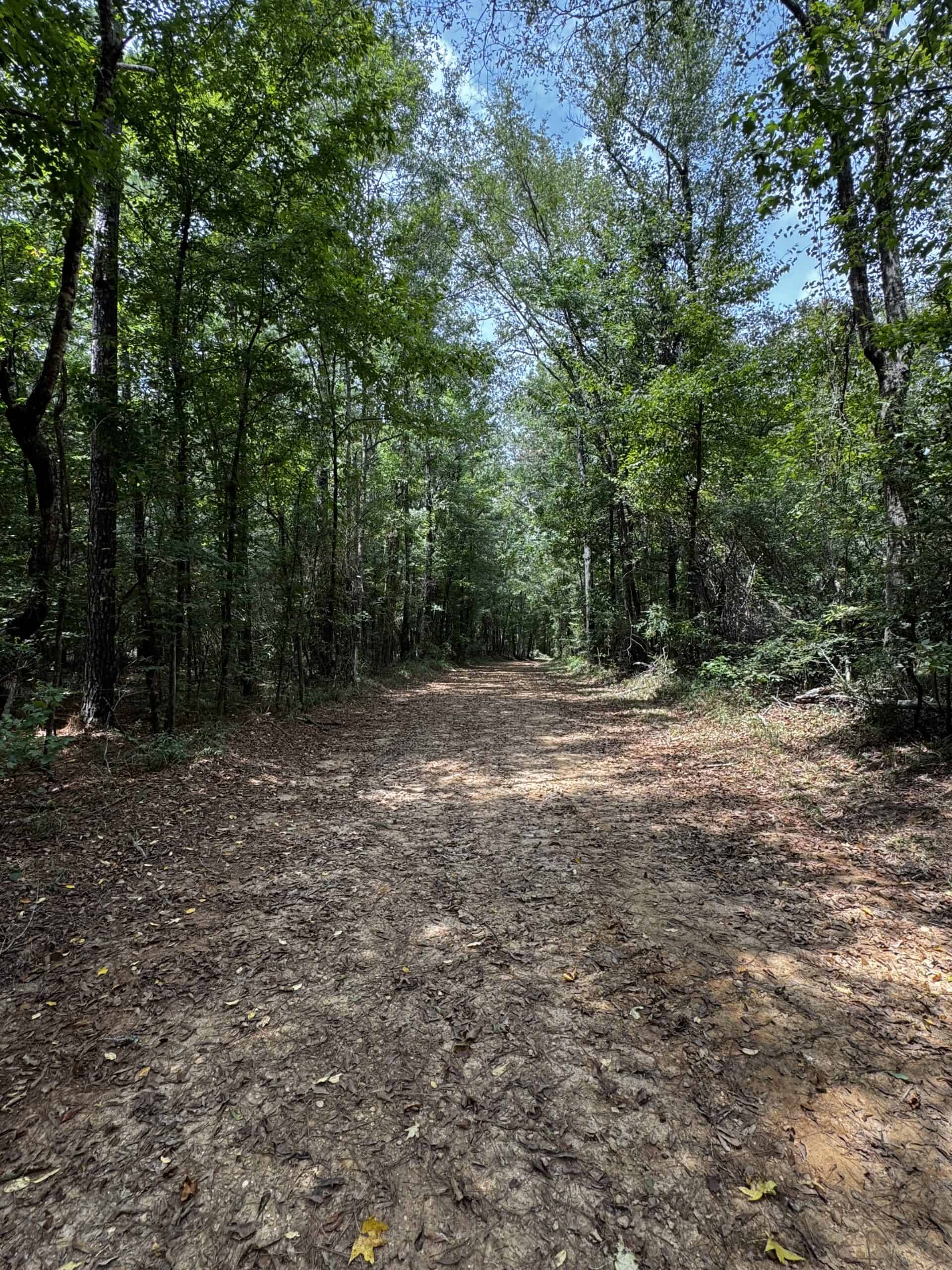 30 Acres of Mature Timber for Sale in Pike County, MS