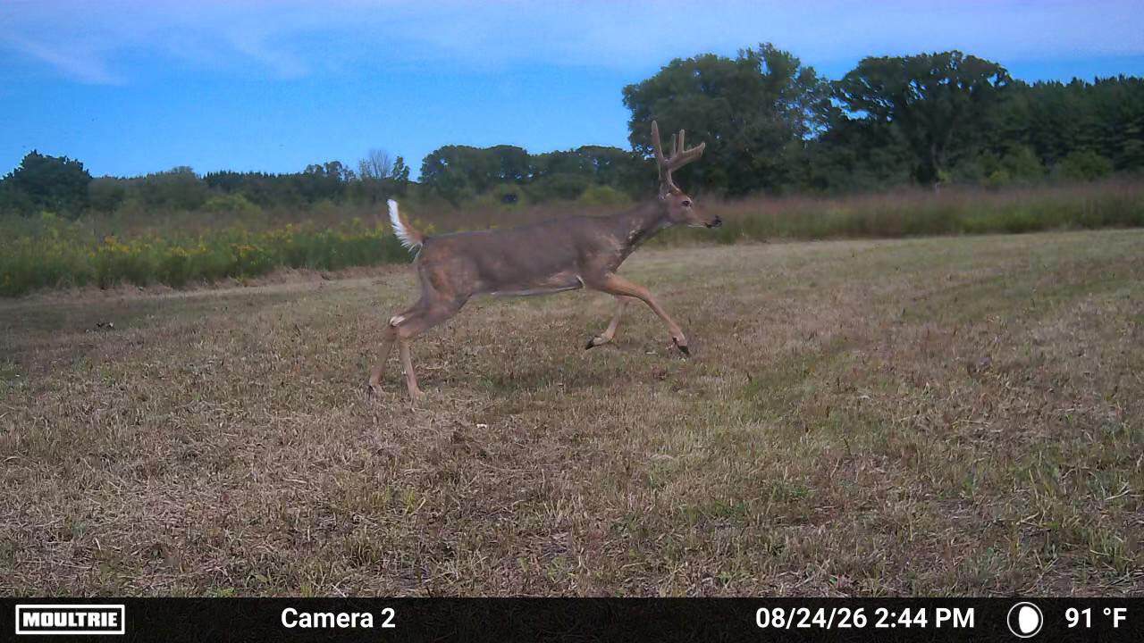 92+/- Acres of Hunting Land in Green Lake WI