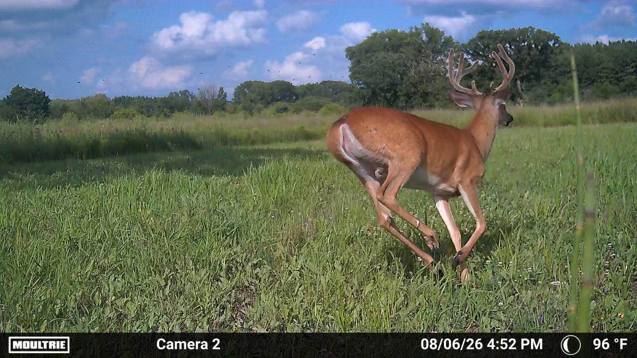 92+/- Acres of Hunting Land in Green Lake WI