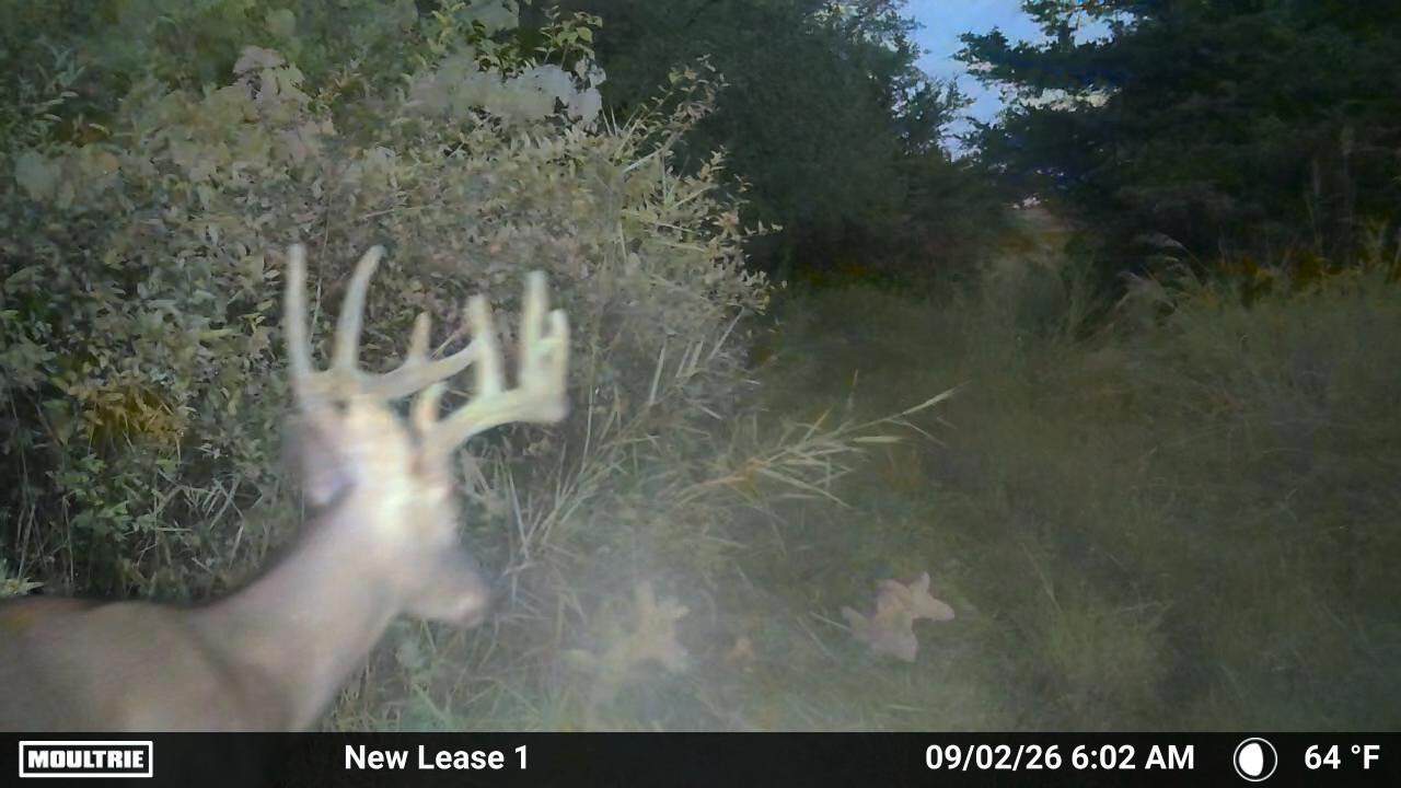 92+/- Acres of Hunting Land in Green Lake WI