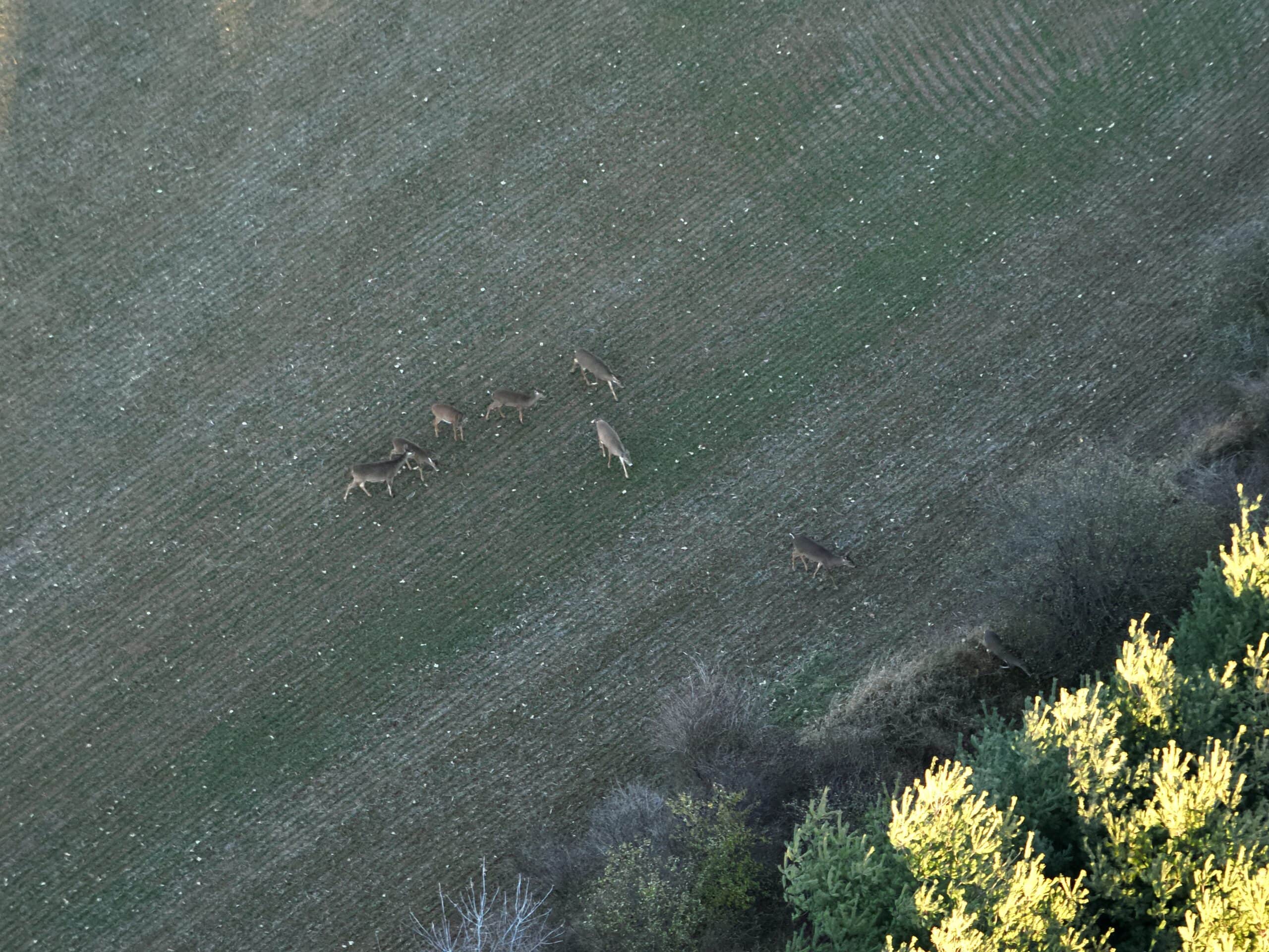 92+/- Acres of Hunting Land in Green Lake WI