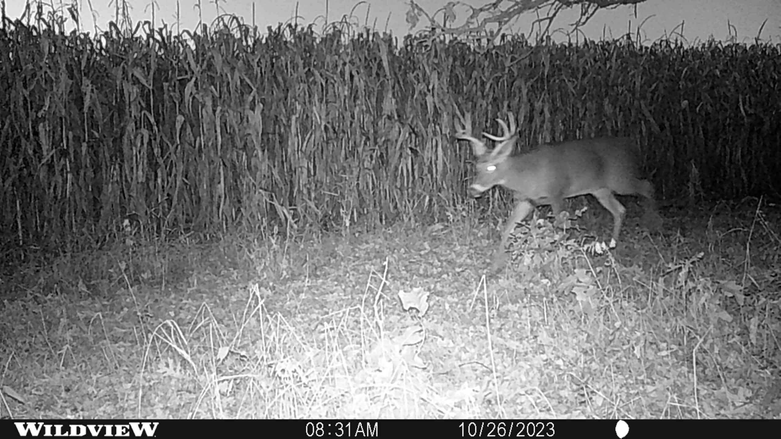 122+/- acre outdoor paradise in Waushara County WI