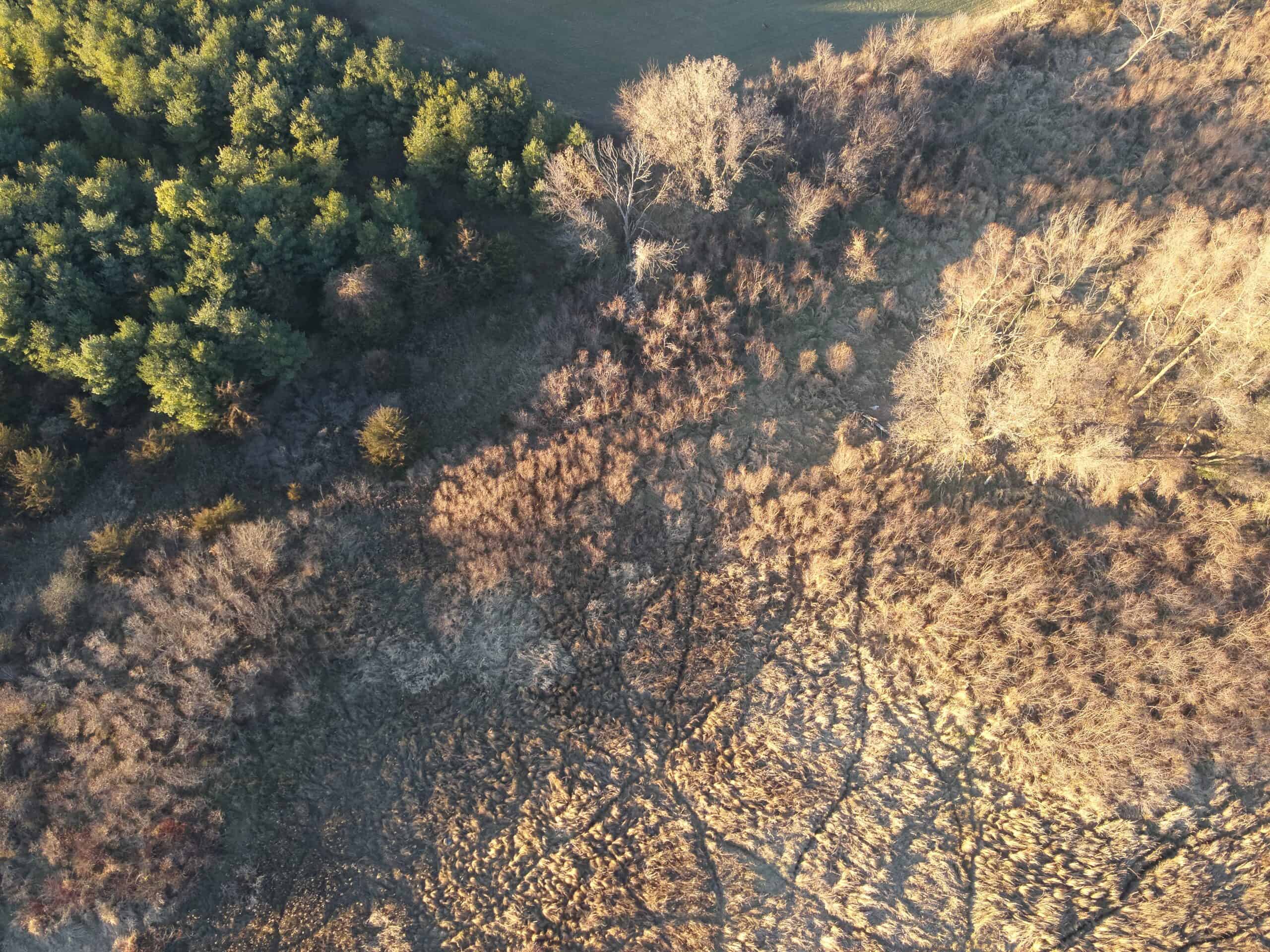 92+/- Acres of Hunting Land in Green Lake WI