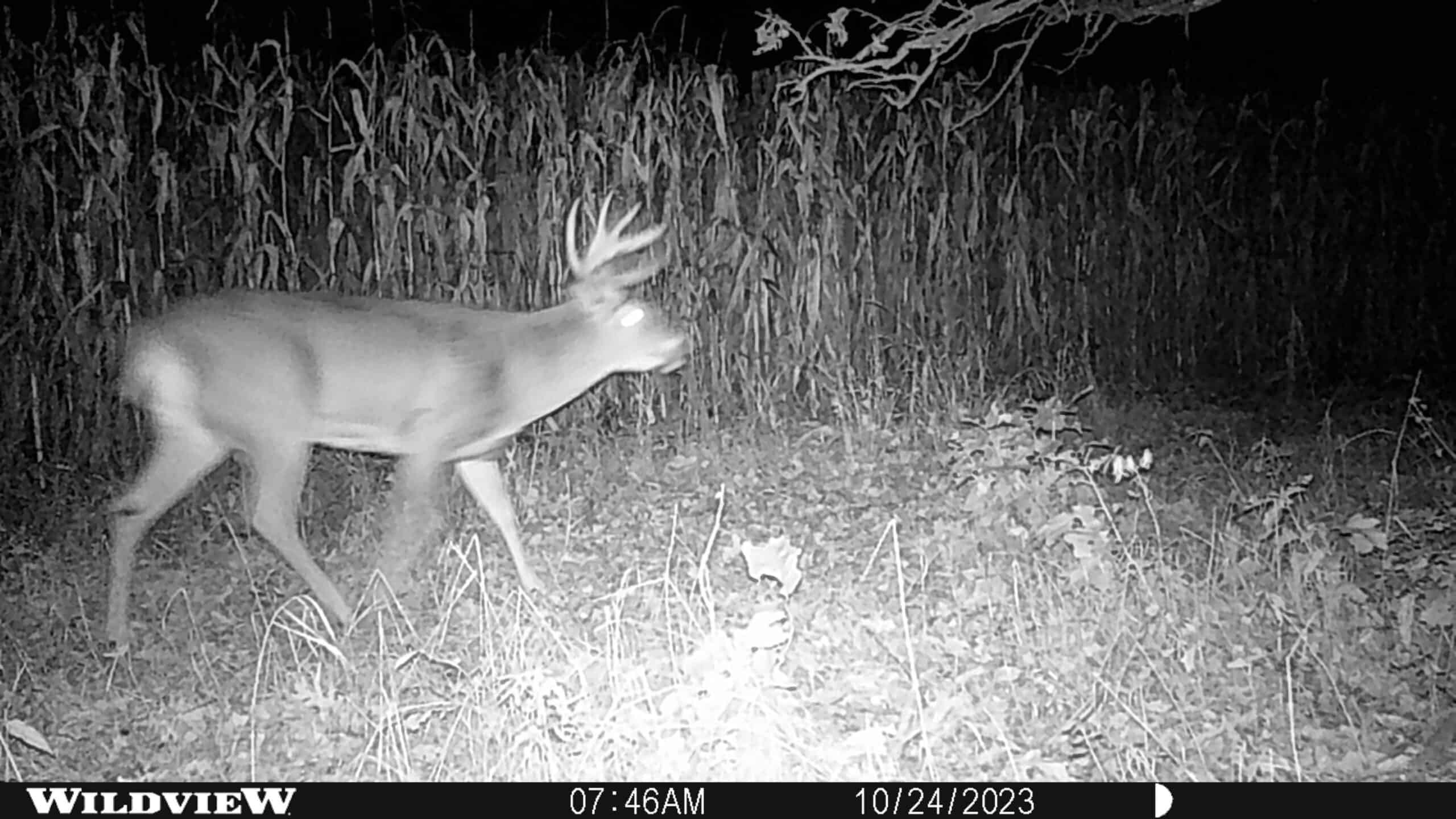122+/- acre outdoor paradise in Waushara County WI