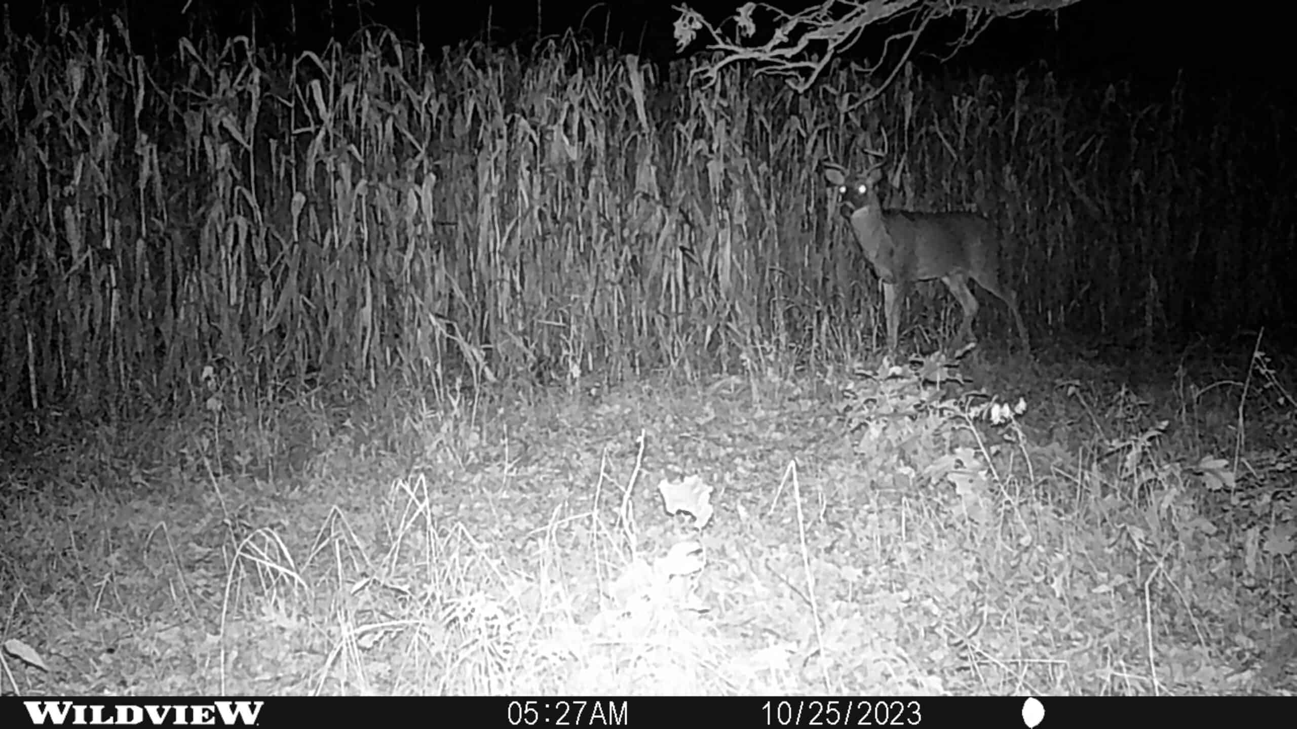 122+/- acre outdoor paradise in Waushara County WI