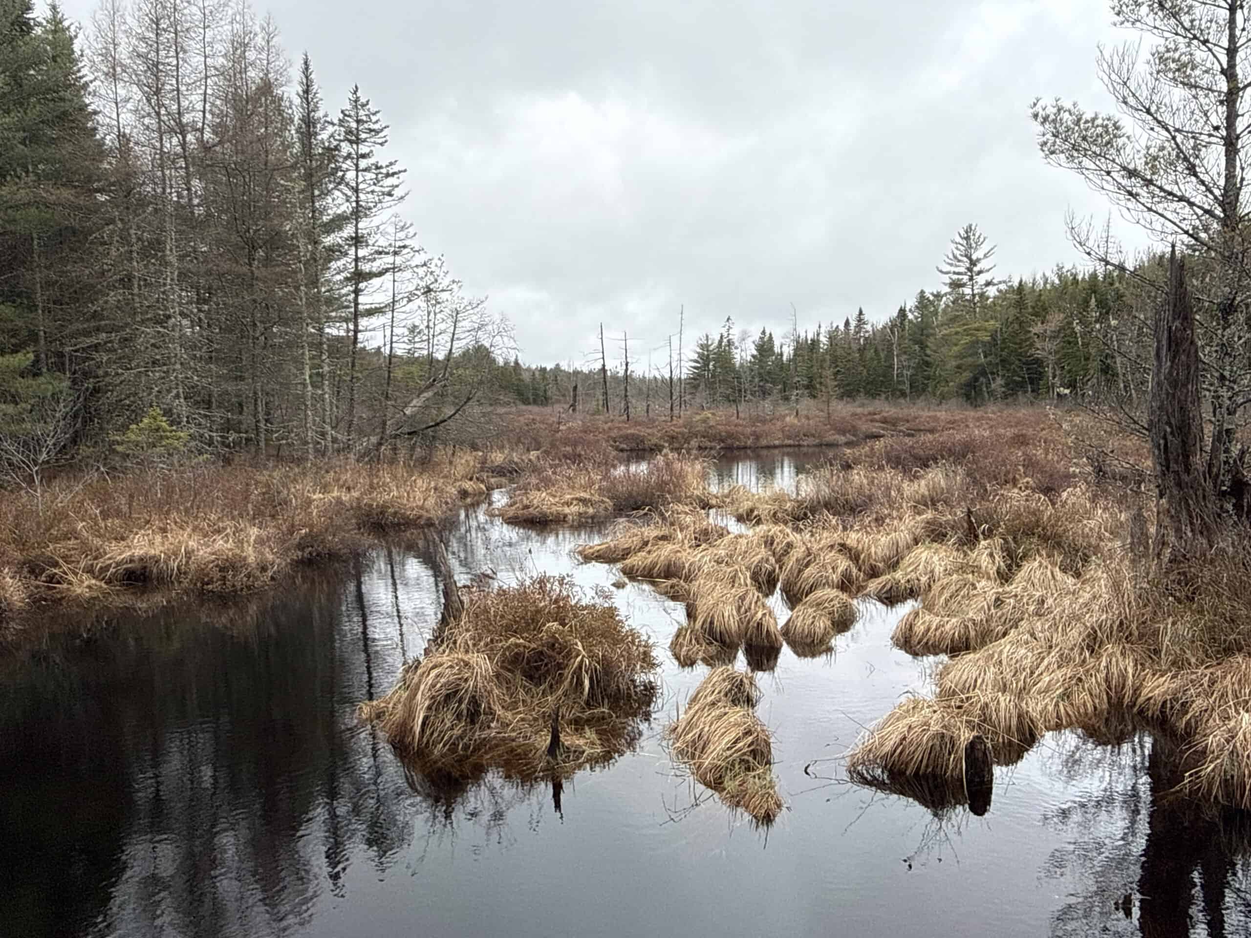 Expansive 230 Acre Wooded Property – Calais, Maine