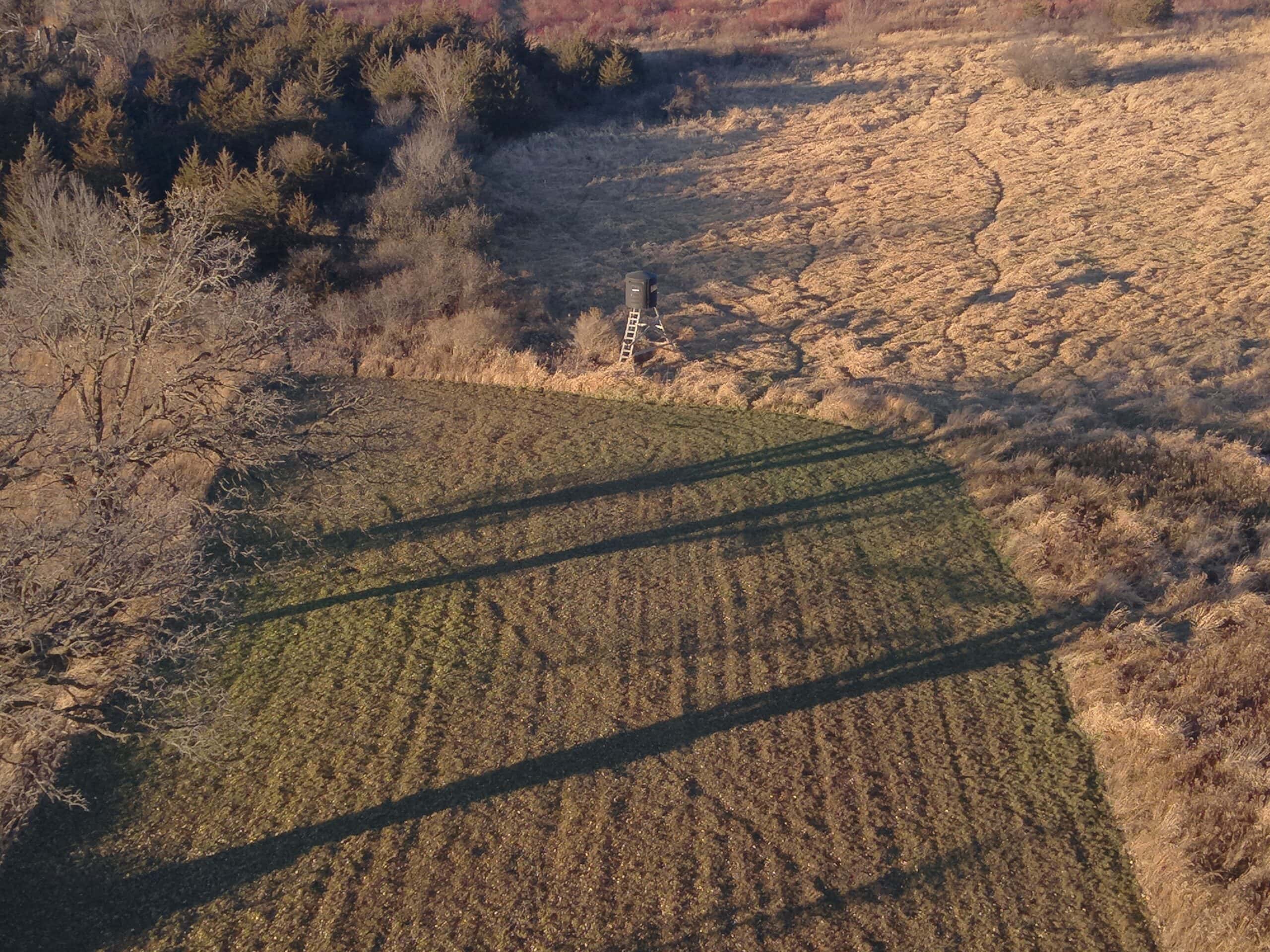 92+/- Acres of Hunting Land in Green Lake WI