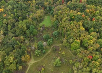 37.61-Acre Trophy Whitetail & Recreational Property | Hixton, Wisconsin