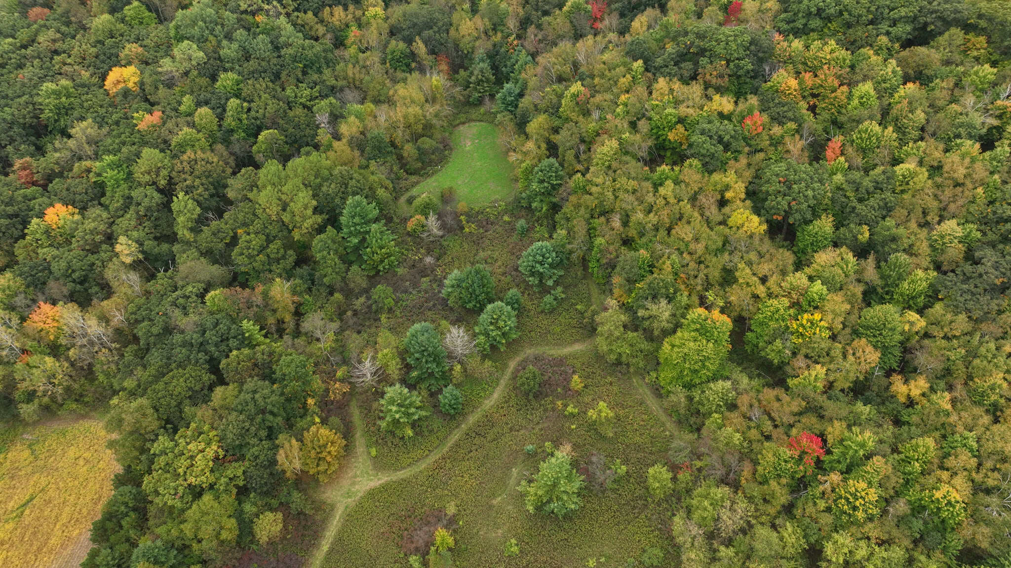 37.61-Acre Trophy Whitetail & Recreational Property | Hixton, Wisconsin