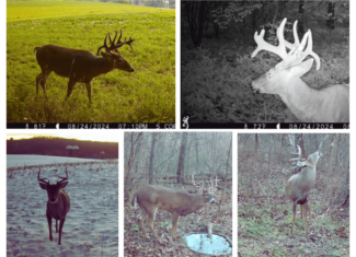 The Blue Mounds 32 — A Private Whitetail Hunting Retreat in Iowa County, Wisconsin