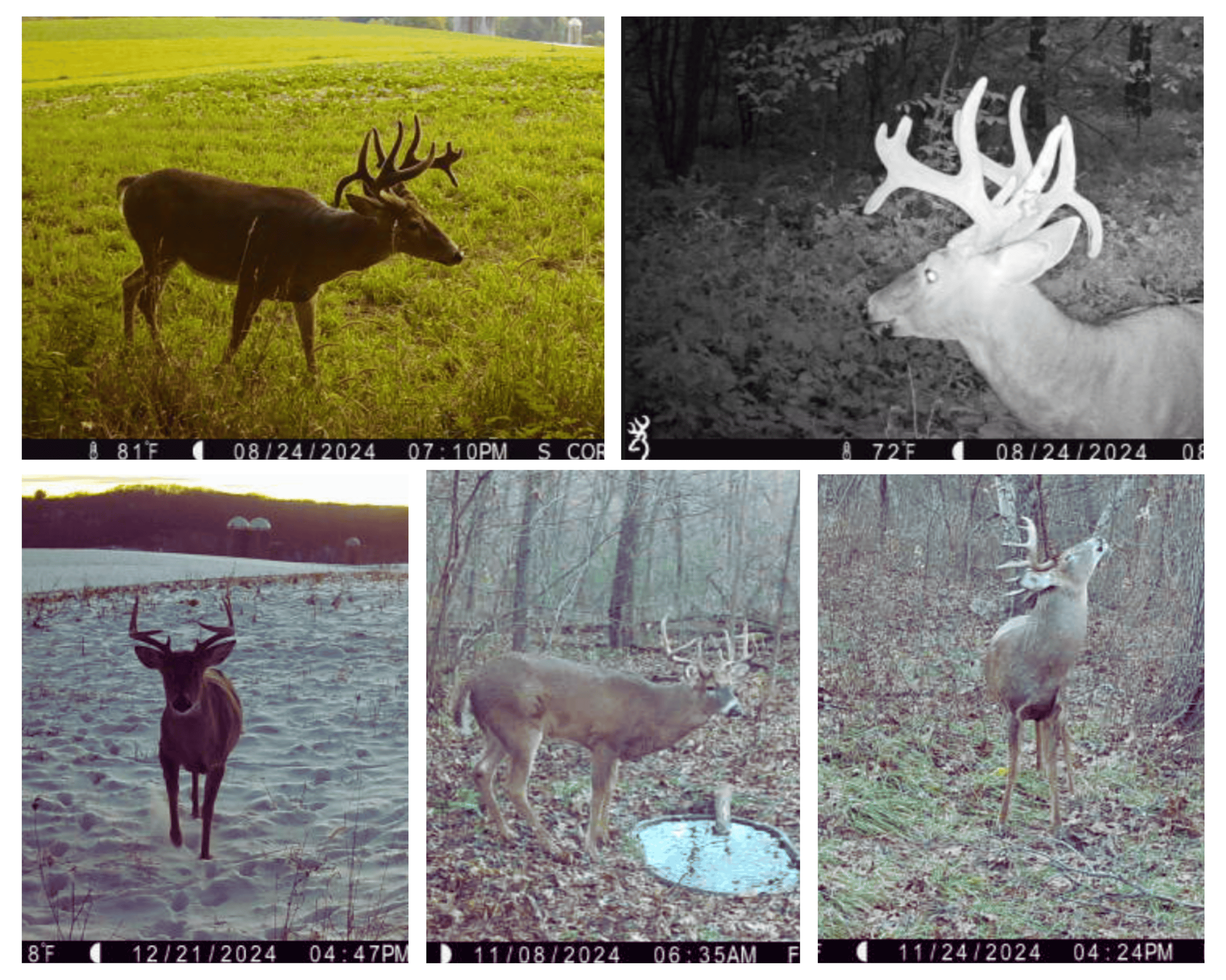 The Blue Mounds 32 — A Private Whitetail Hunting Retreat in Iowa County, Wisconsin