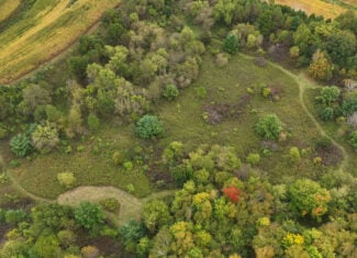 37.61-Acre Trophy Whitetail & Recreational Property | Hixton, Wisconsin