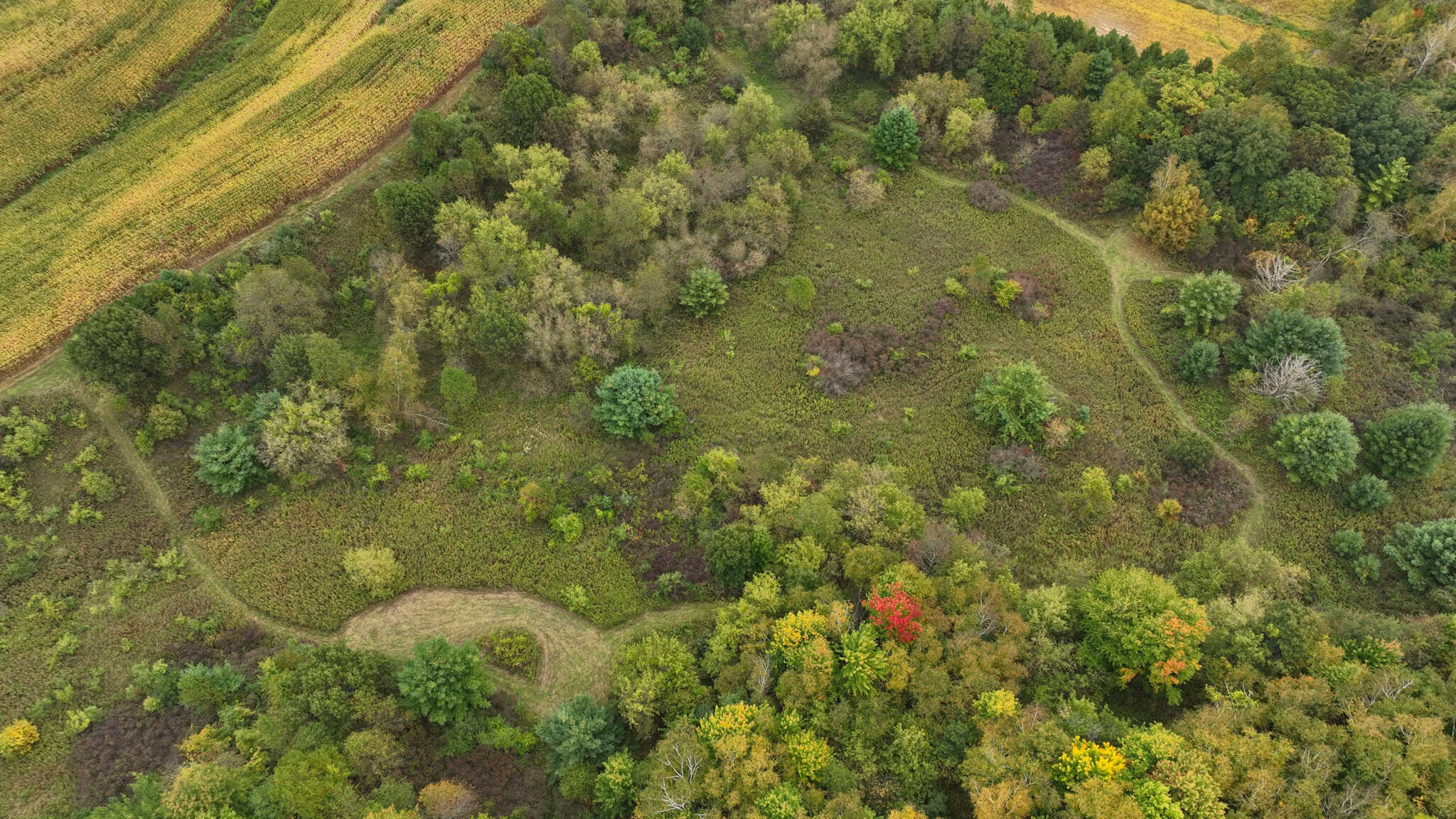 37.61-Acre Trophy Whitetail & Recreational Property | Hixton, Wisconsin