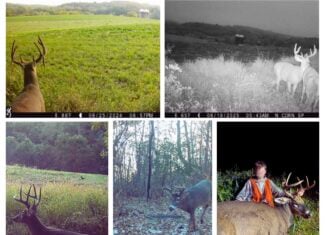 The Blue Mounds 32 — A Private Whitetail Hunting Retreat in Iowa County, Wisconsin