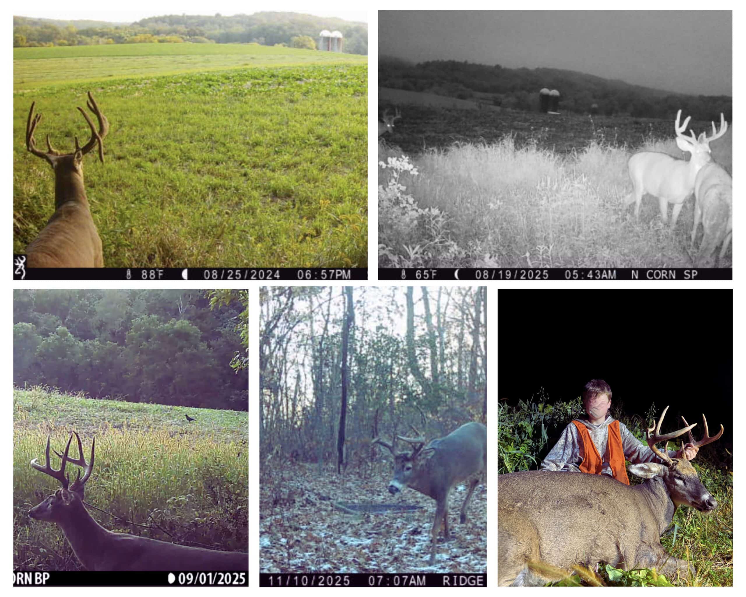 The Blue Mounds 32 — A Private Whitetail Hunting Retreat in Iowa County, Wisconsin