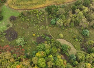 37.61-Acre Trophy Whitetail & Recreational Property | Hixton, Wisconsin