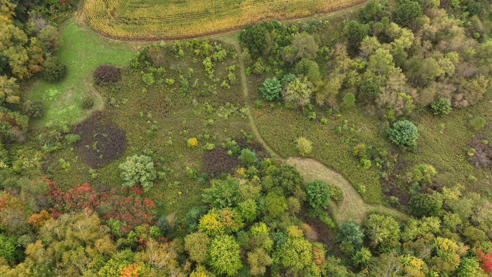 37.61-Acre Trophy Whitetail & Recreational Property | Hixton, Wisconsin