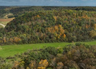 58.89-Acre Hunting Camp & Whitetail Retreat | Blue River, Wisconsin