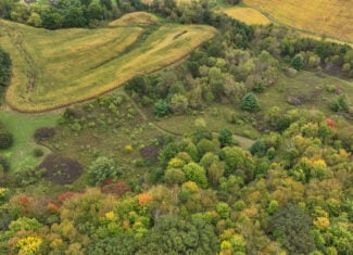 37.61-Acre Trophy Whitetail & Recreational Property | Hixton, Wisconsin