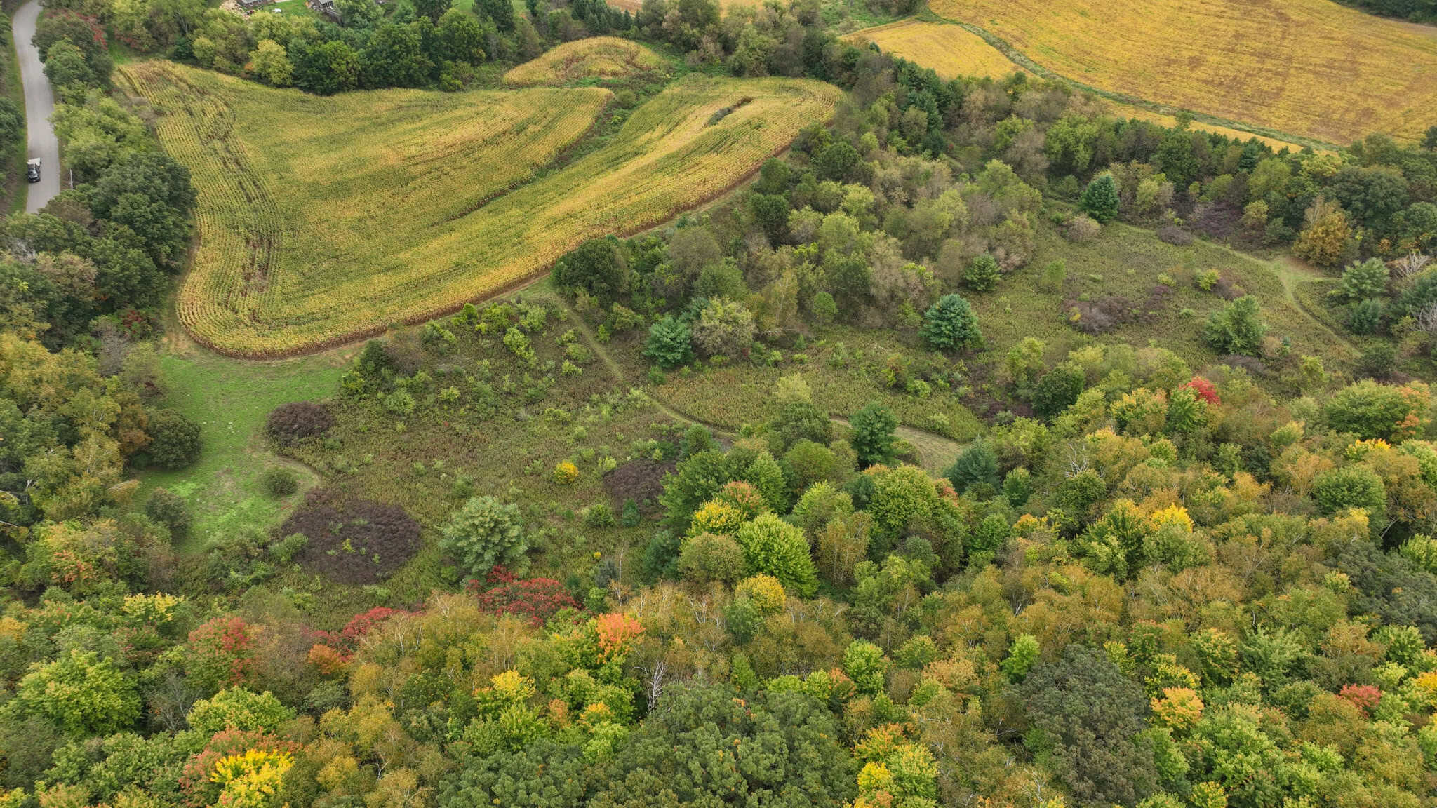 37.61-Acre Trophy Whitetail & Recreational Property | Hixton, Wisconsin