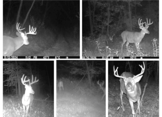 58.89-Acre Hunting Camp & Whitetail Retreat | Blue River, Wisconsin