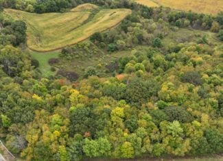 37.61-Acre Trophy Whitetail & Recreational Property | Hixton, Wisconsin