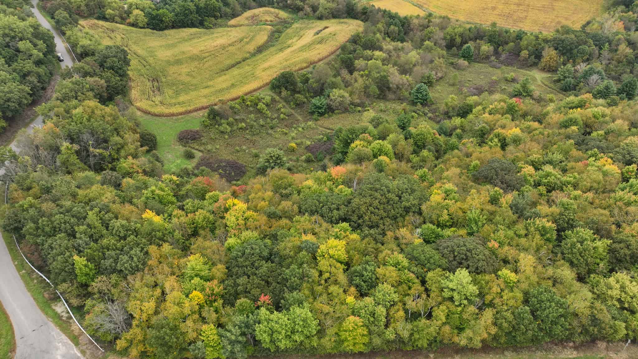 37.61-Acre Trophy Whitetail & Recreational Property | Hixton, Wisconsin