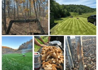 58.89-Acre Hunting Camp & Whitetail Retreat | Blue River, Wisconsin