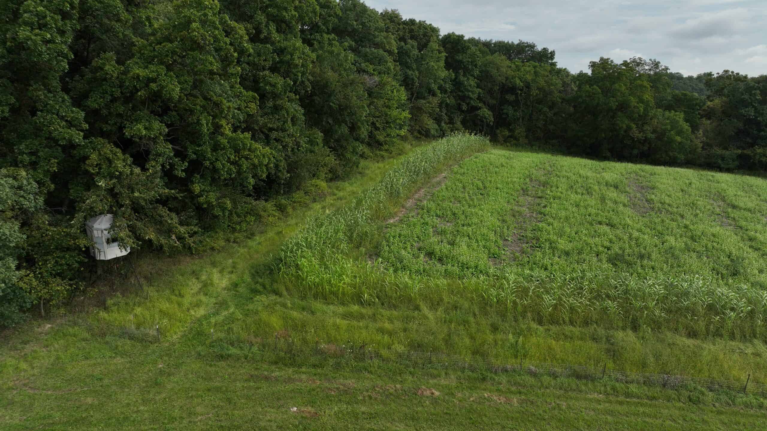 The Blue Mounds 32 — A Private Whitetail Hunting Retreat in Iowa County, Wisconsin