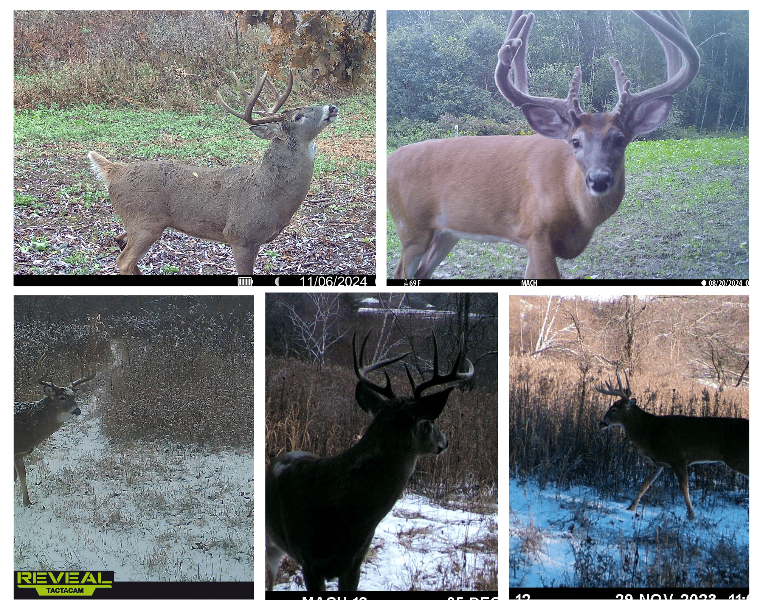 37.61-Acre Trophy Whitetail & Recreational Property | Hixton, Wisconsin