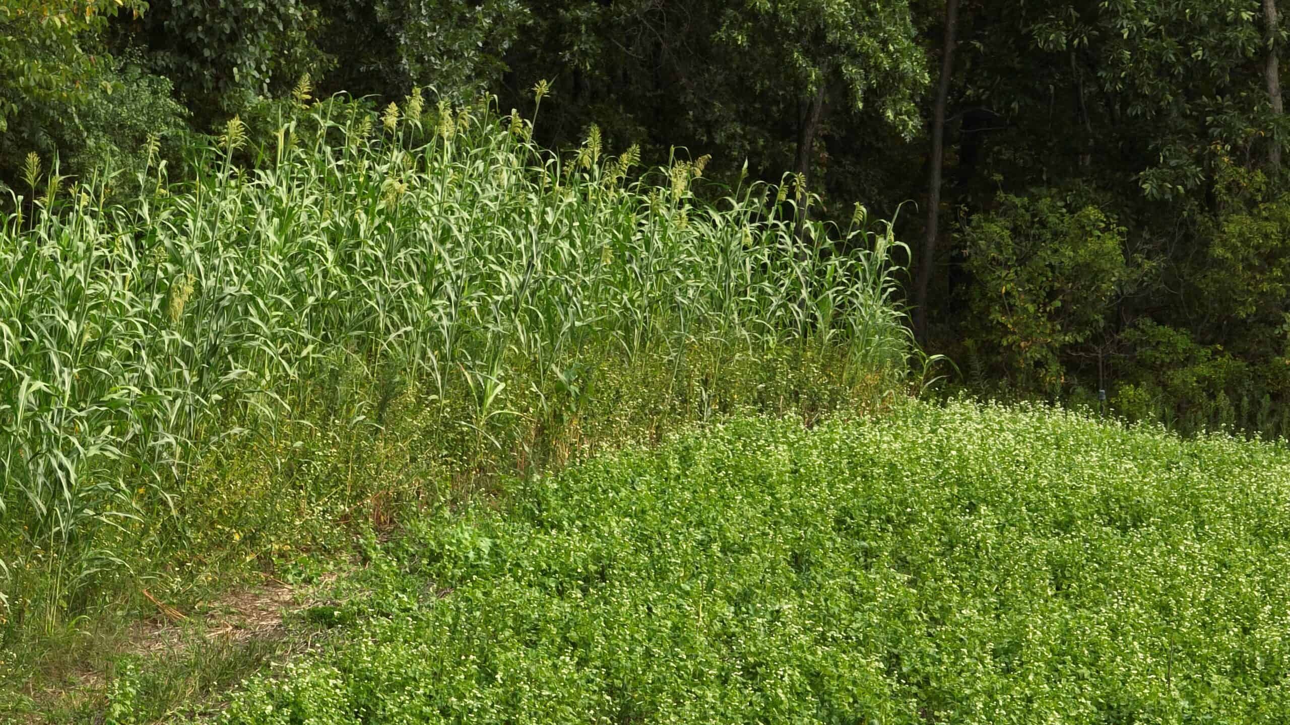 The Blue Mounds 32 — A Private Whitetail Hunting Retreat in Iowa County, Wisconsin