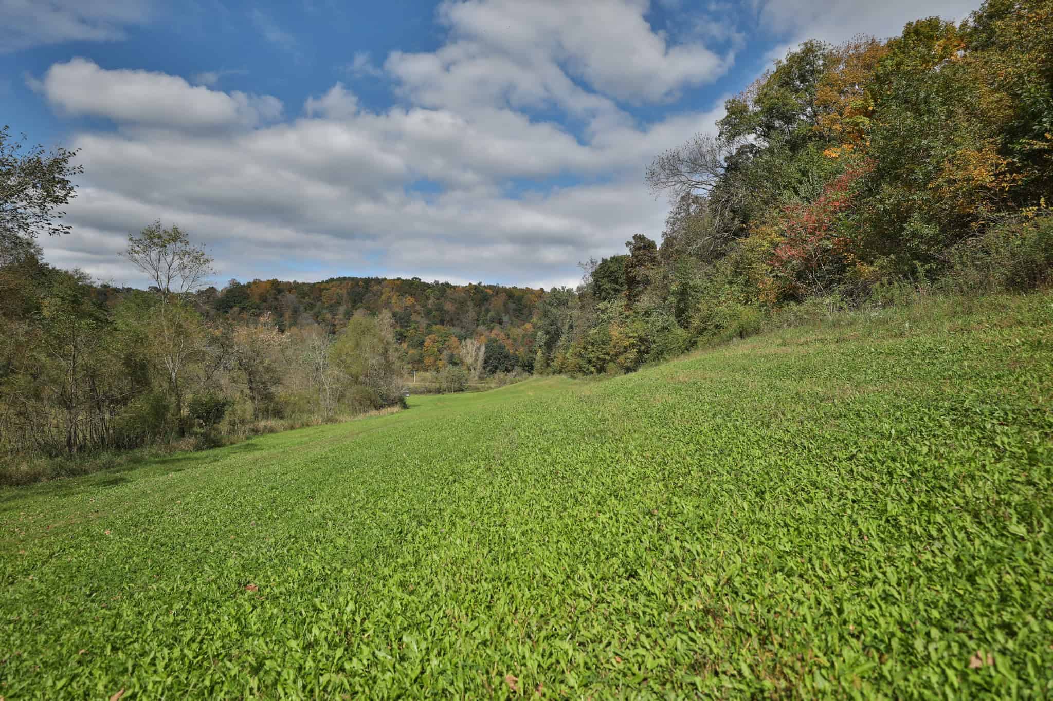 58.89-Acre Hunting Camp & Whitetail Retreat | Blue River, Wisconsin