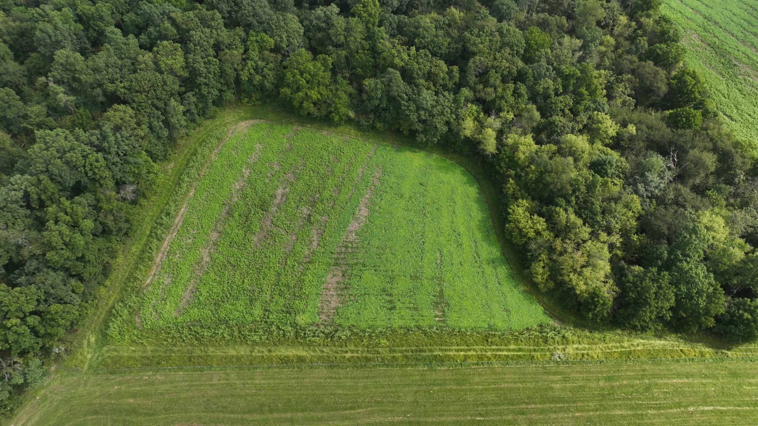 The Blue Mounds 32 — A Private Whitetail Hunting Retreat in Iowa County, Wisconsin