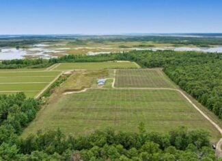 34.5± acre high-ground property in the Town of Bear Bluff