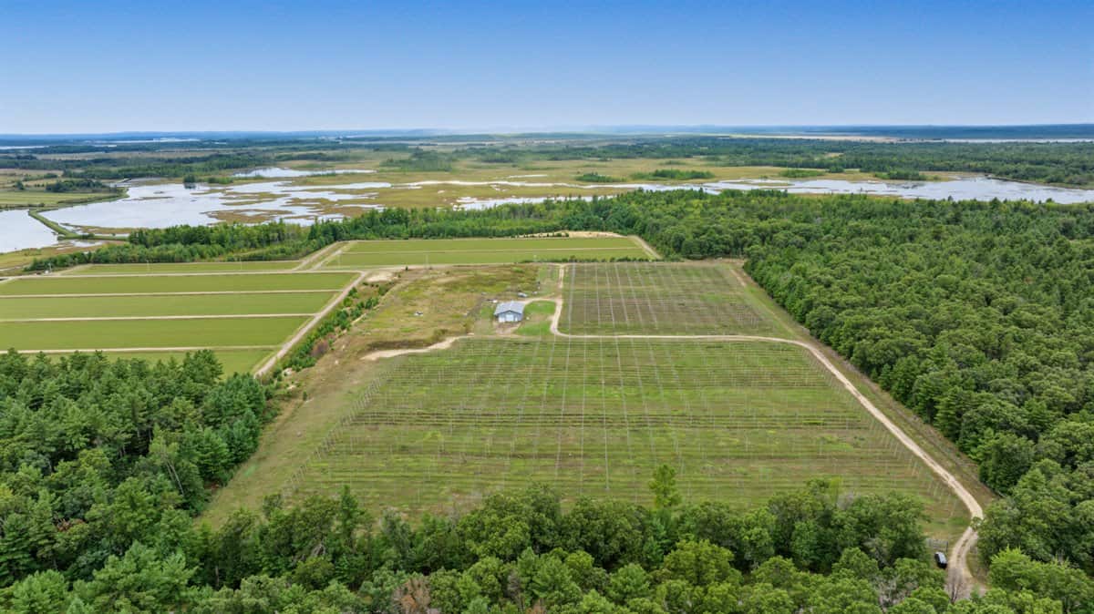 34.5± acre high-ground property in the Town of Bear Bluff