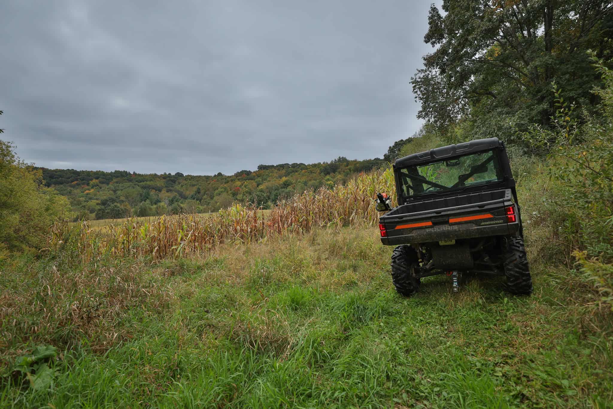 37.61-Acre Trophy Whitetail & Recreational Property | Hixton, Wisconsin