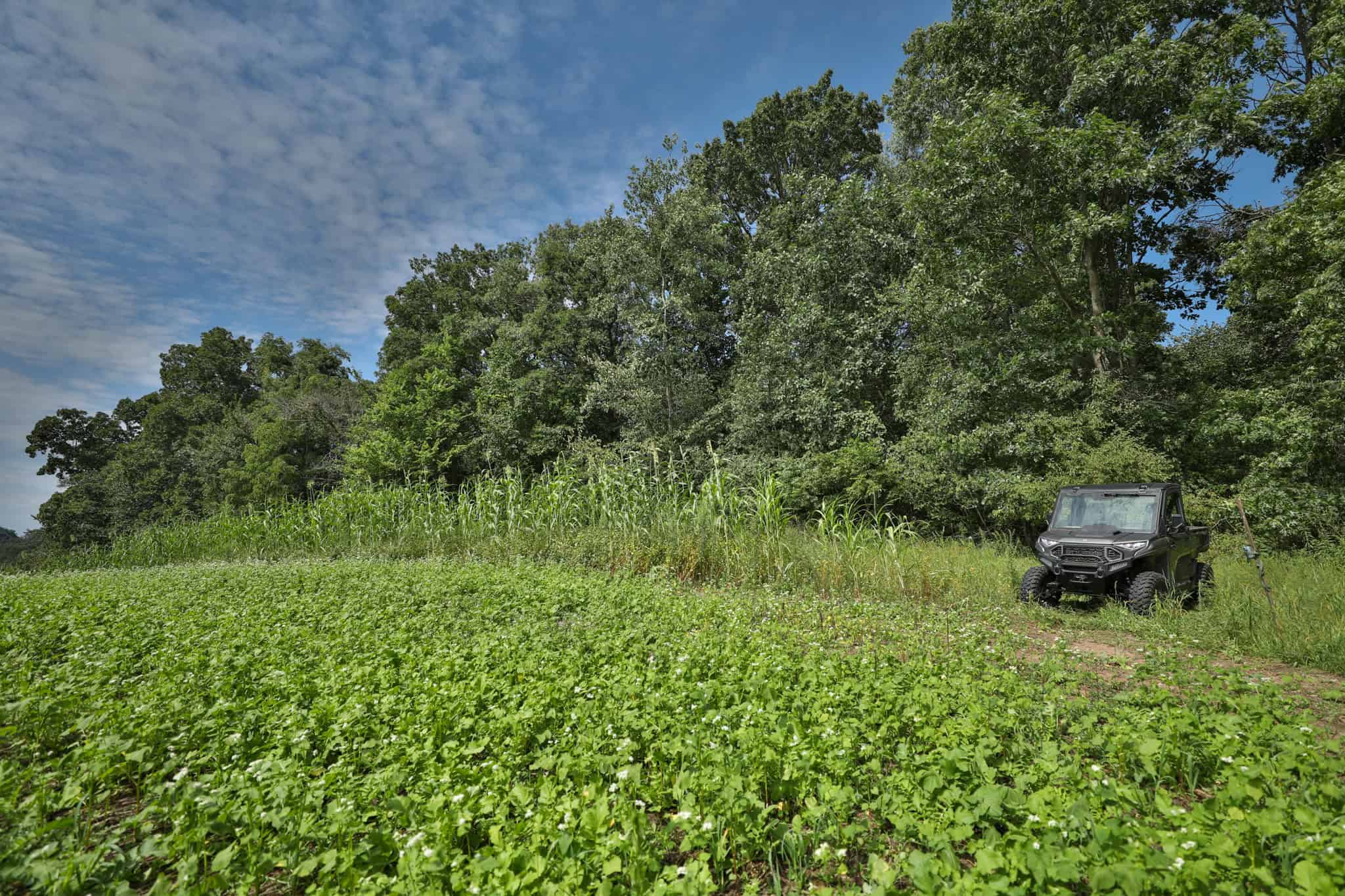 The Blue Mounds 32 — A Private Whitetail Hunting Retreat in Iowa County, Wisconsin