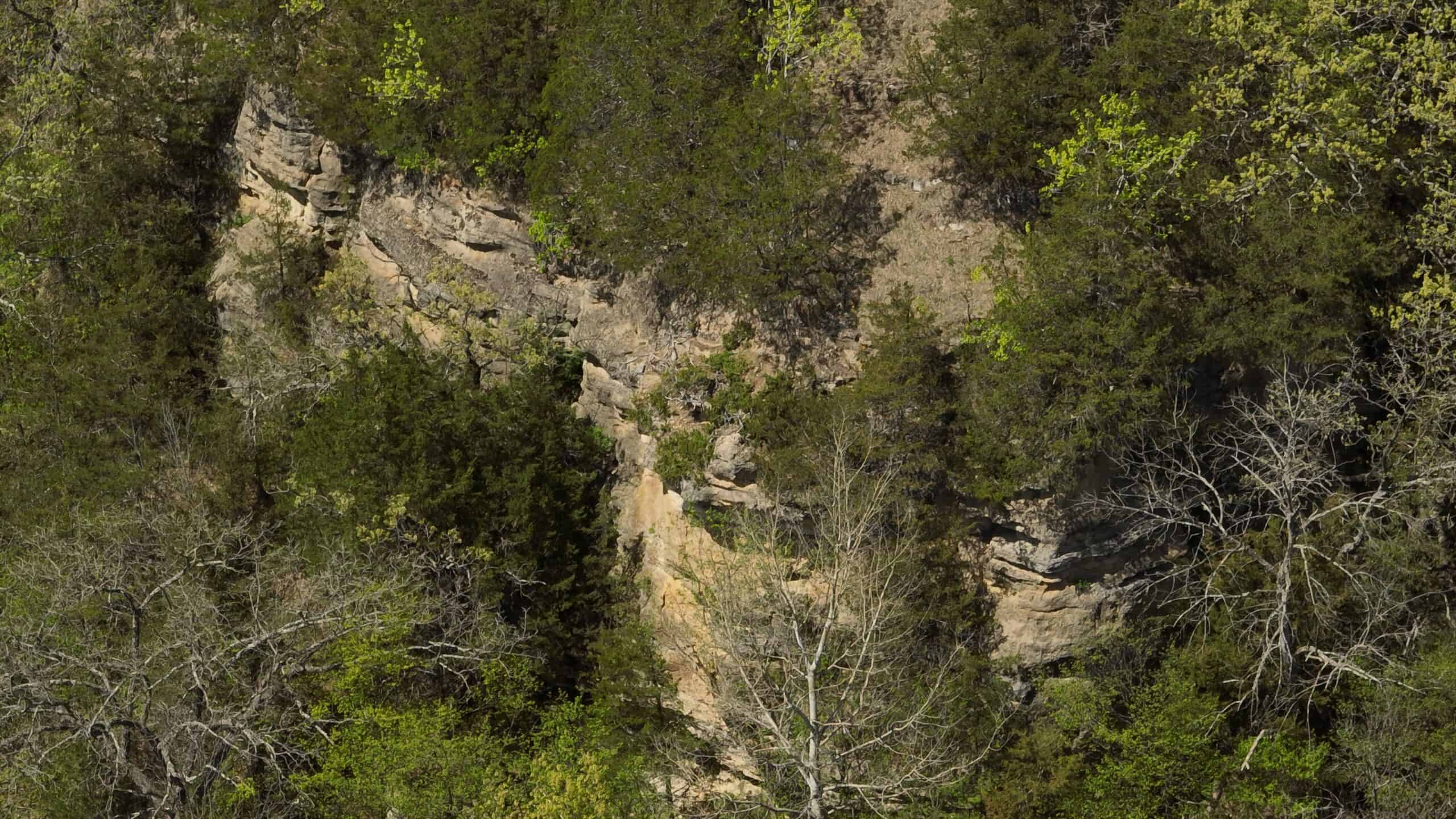 34.83-Acre Southwest Wisconsin Hunting Retreat | Viola, Wisconsin