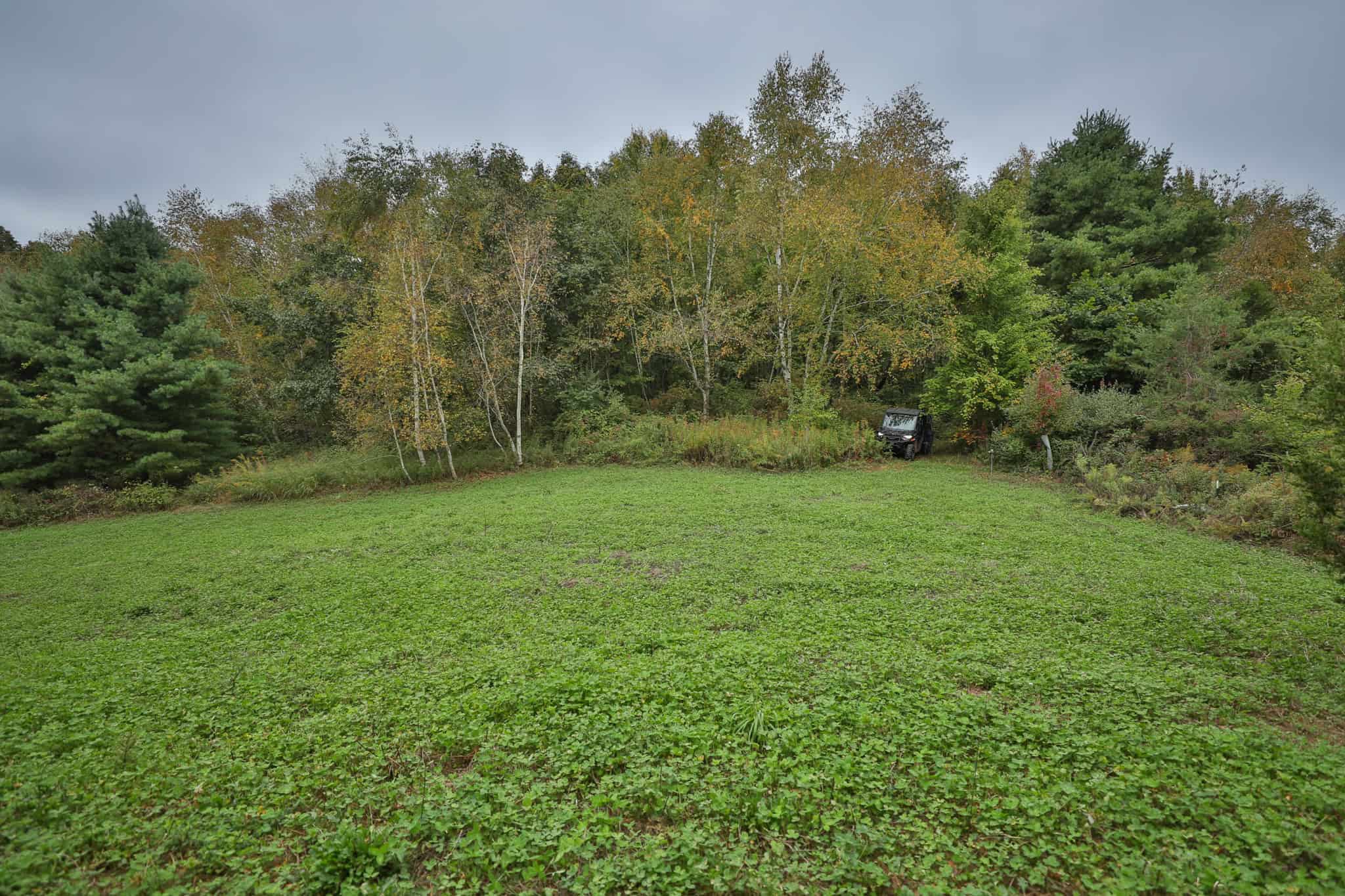 37.61-Acre Trophy Whitetail & Recreational Property | Hixton, Wisconsin