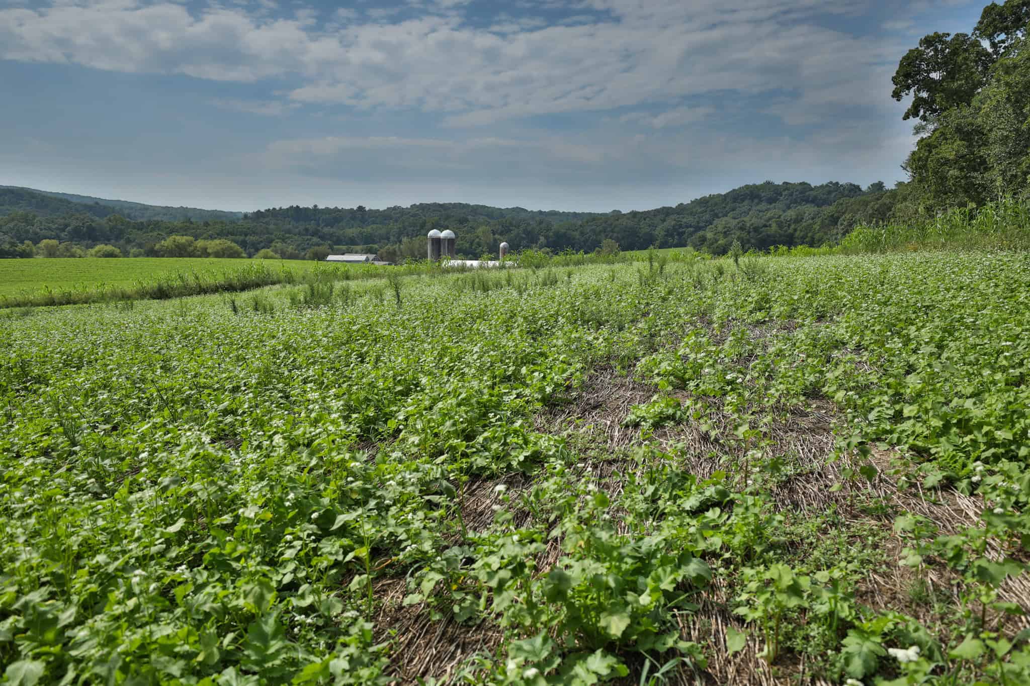 The Blue Mounds 32 — A Private Whitetail Hunting Retreat in Iowa County, Wisconsin