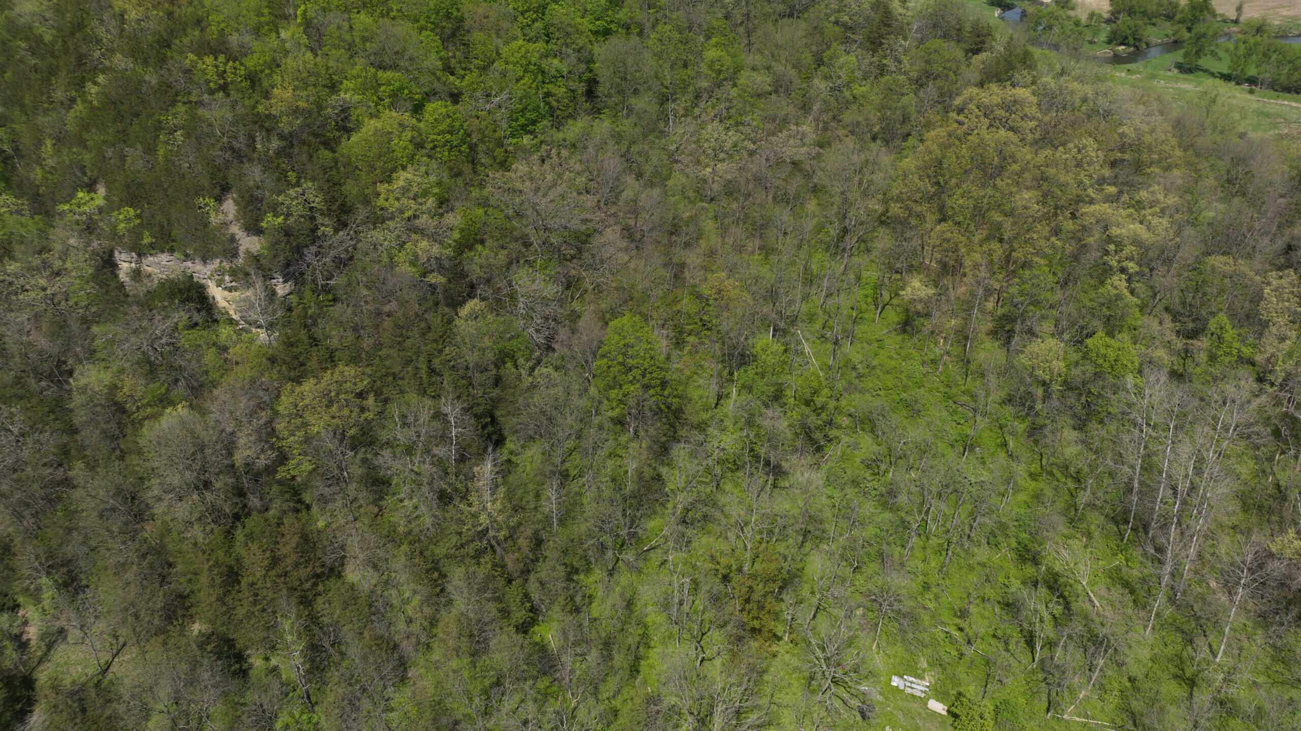 34.83-Acre Southwest Wisconsin Hunting Retreat | Viola, Wisconsin