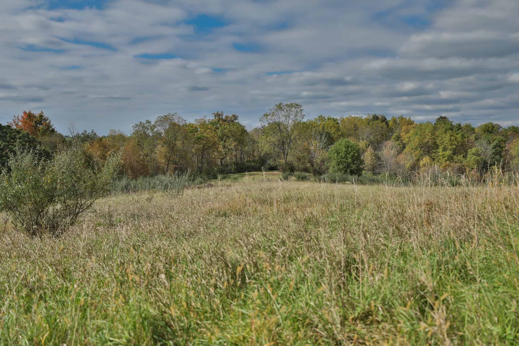 58.89-Acre Hunting Camp & Whitetail Retreat | Blue River, Wisconsin
