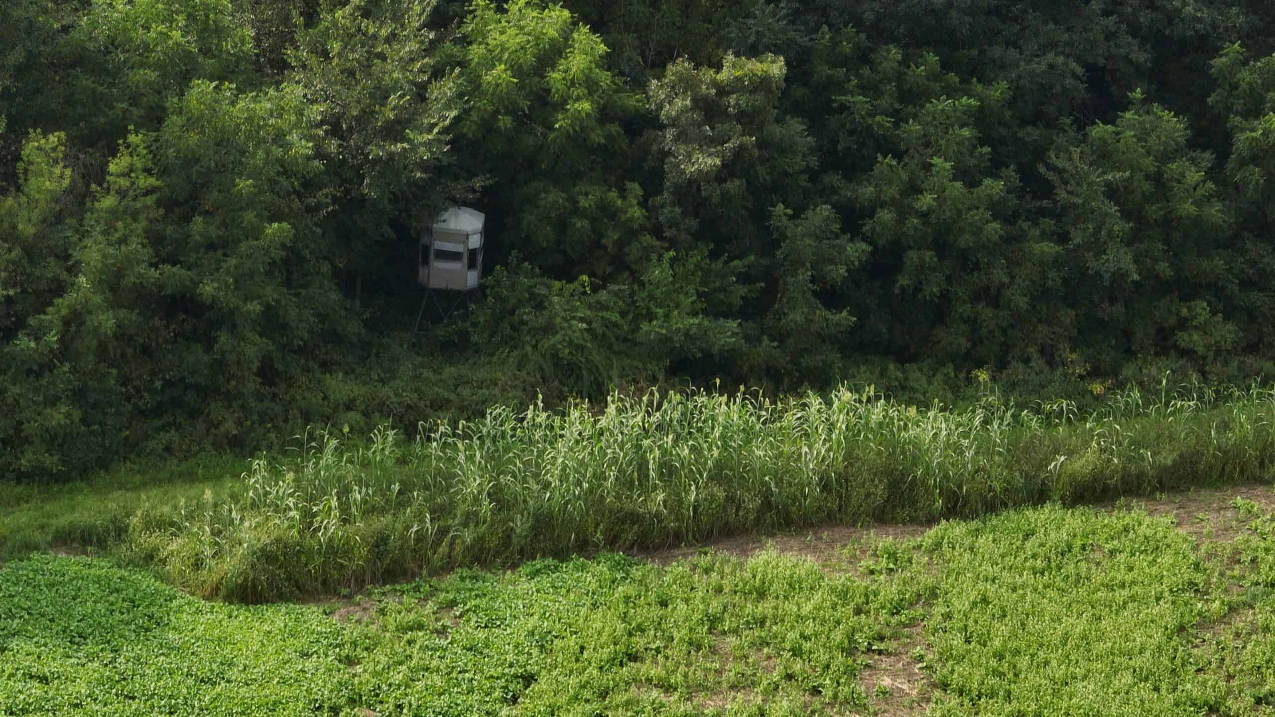 The Blue Mounds 32 — A Private Whitetail Hunting Retreat in Iowa County, Wisconsin