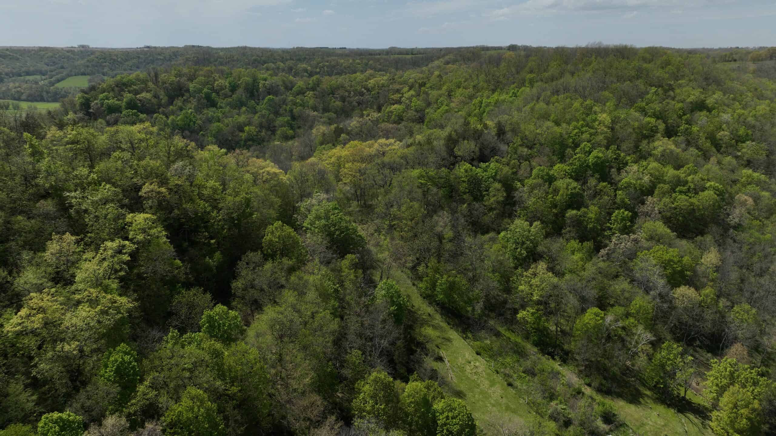 34.83-Acre Southwest Wisconsin Hunting Retreat | Viola, Wisconsin