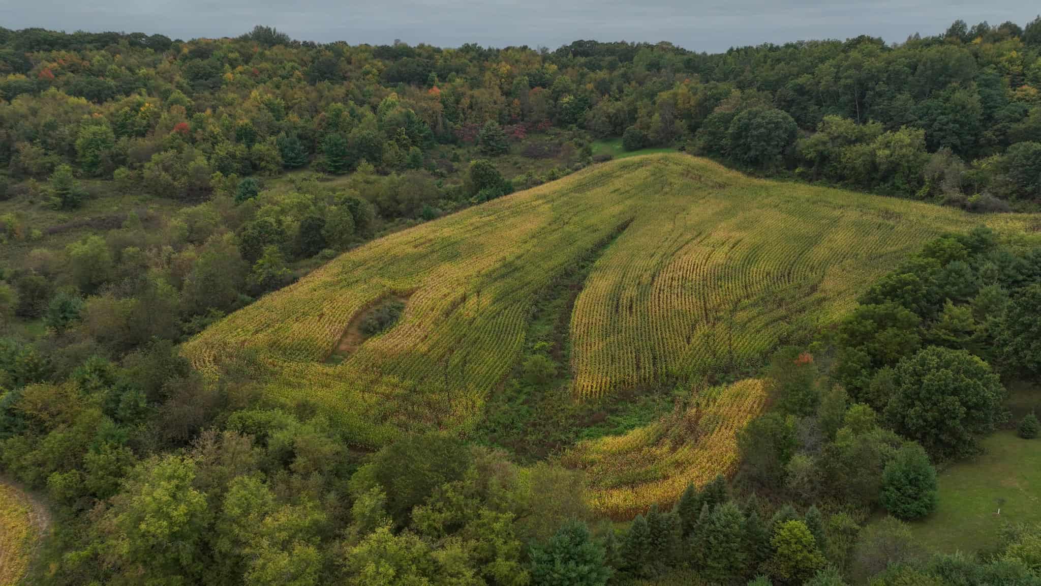 37.61-Acre Trophy Whitetail & Recreational Property | Hixton, Wisconsin