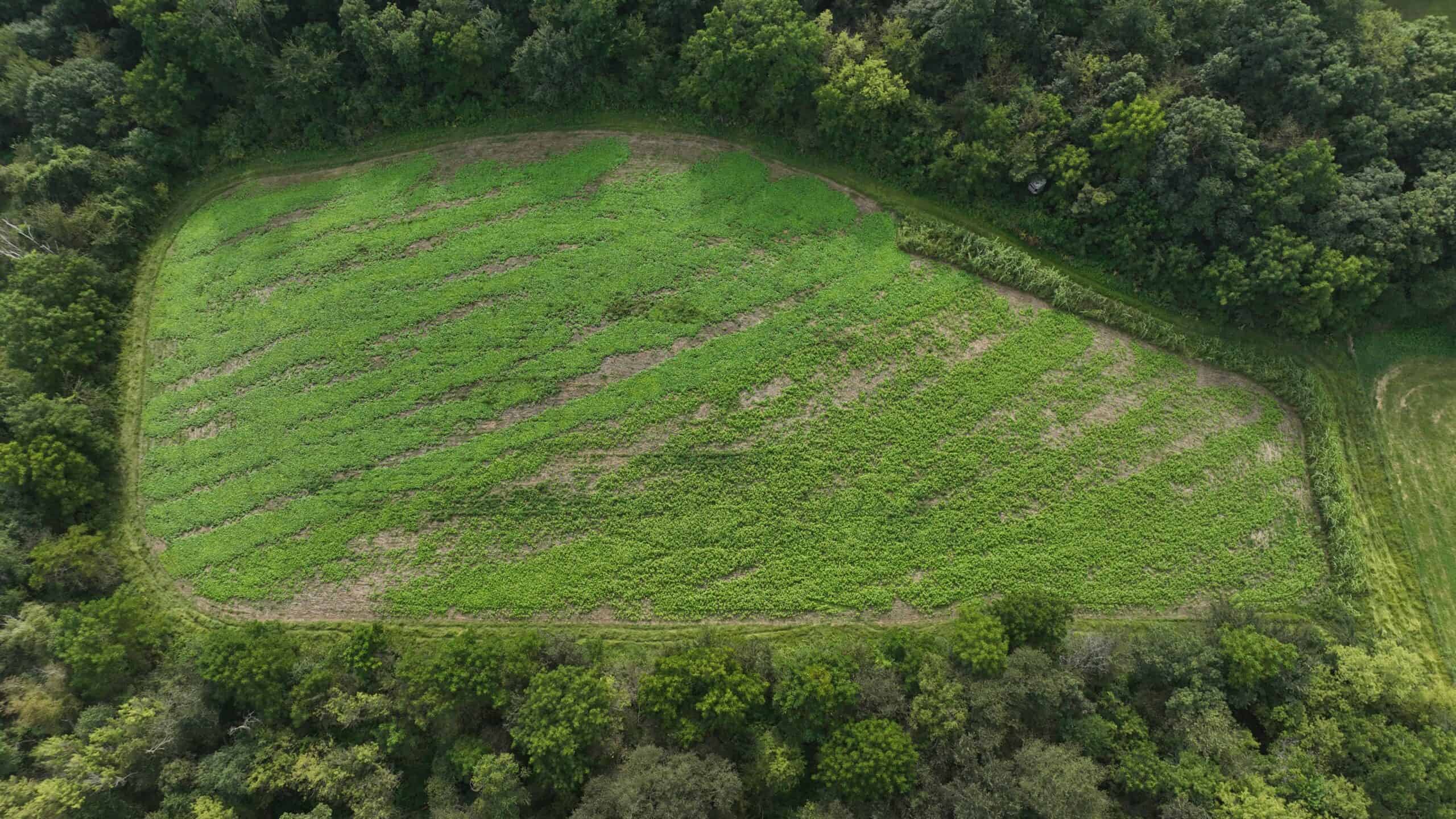 The Blue Mounds 32 — A Private Whitetail Hunting Retreat in Iowa County, Wisconsin