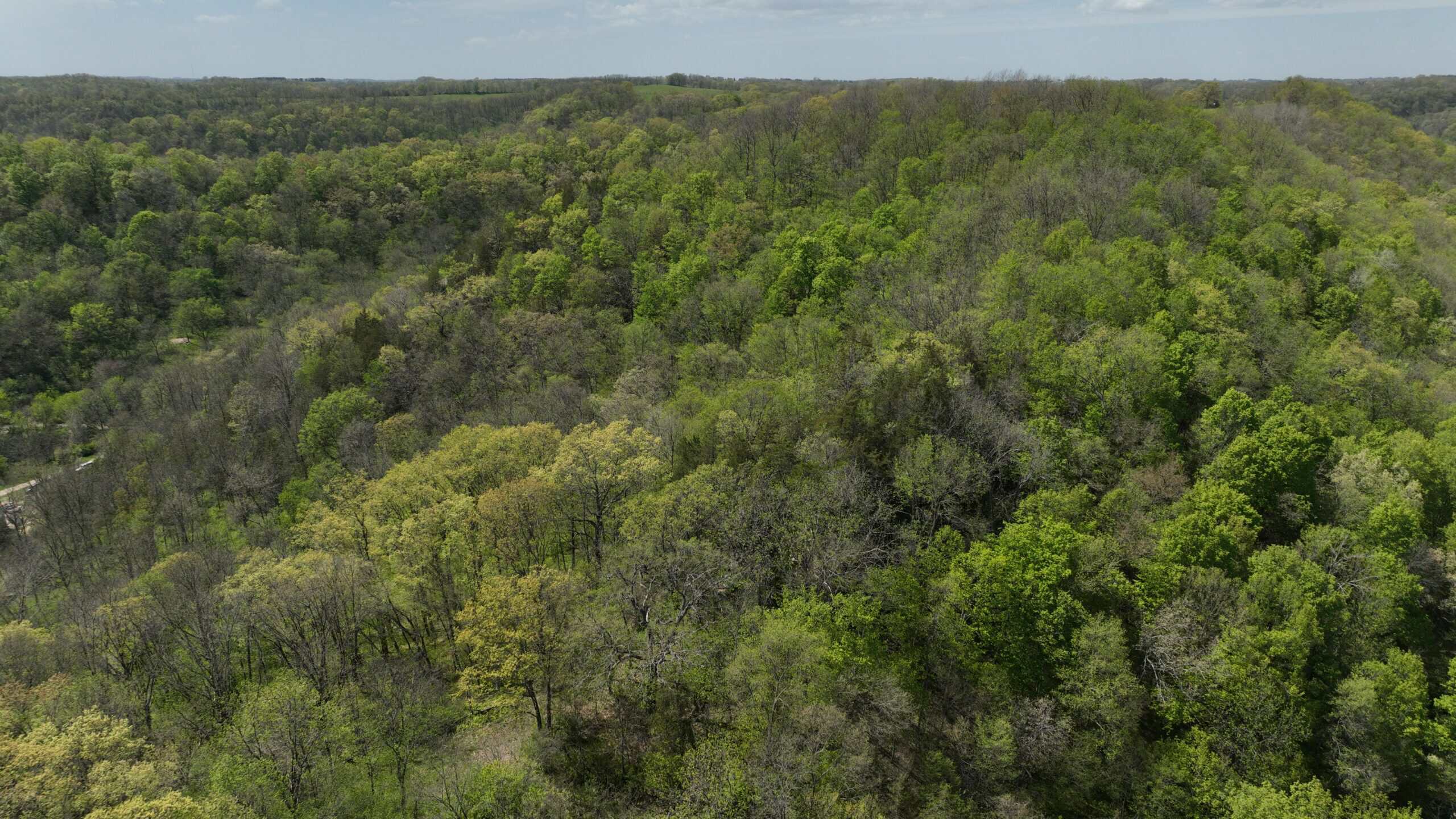 34.83-Acre Southwest Wisconsin Hunting Retreat | Viola, Wisconsin