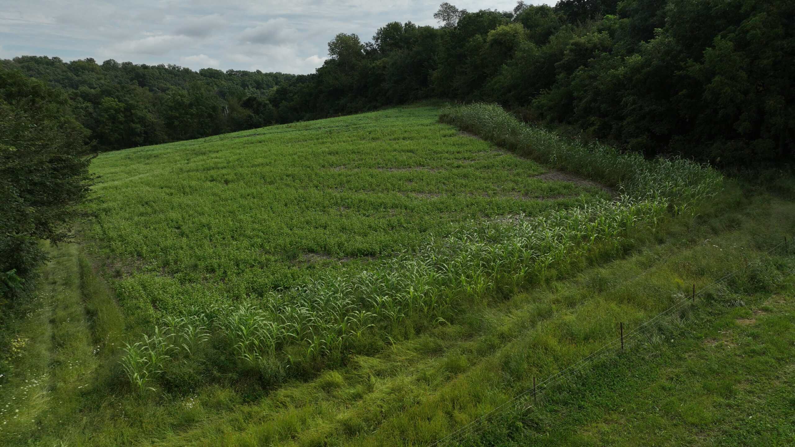 The Blue Mounds 32 — A Private Whitetail Hunting Retreat in Iowa County, Wisconsin