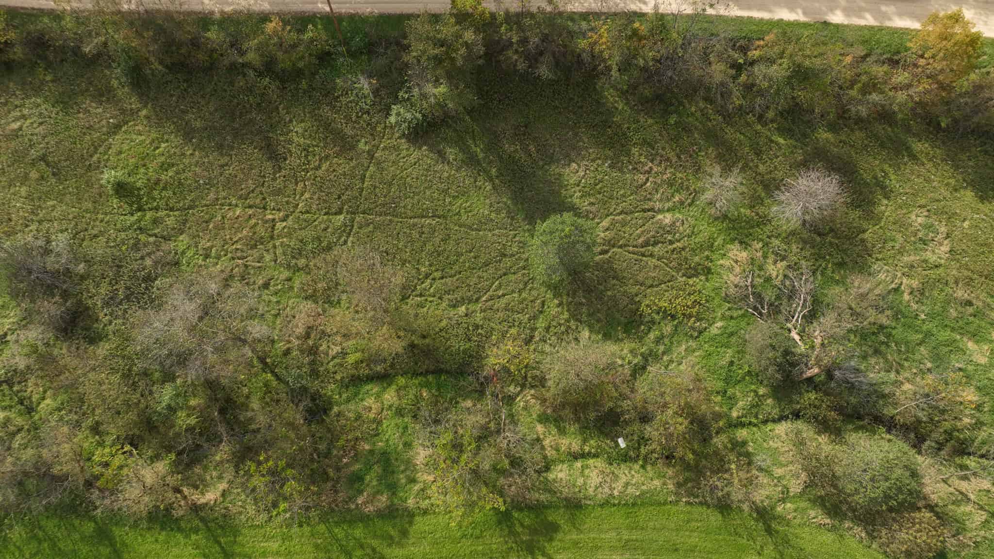 58.89-Acre Hunting Camp & Whitetail Retreat | Blue River, Wisconsin