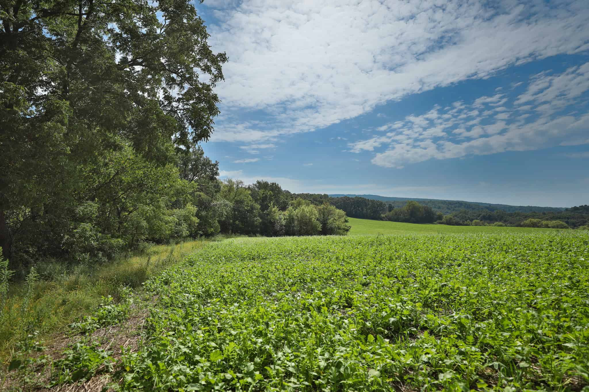 The Blue Mounds 32 — A Private Whitetail Hunting Retreat in Iowa County, Wisconsin